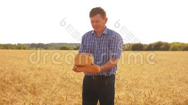 老农夫面包师拿着一个金色的面包和面包在成熟的麦田对抗蓝天。 慢动作视频。 收获